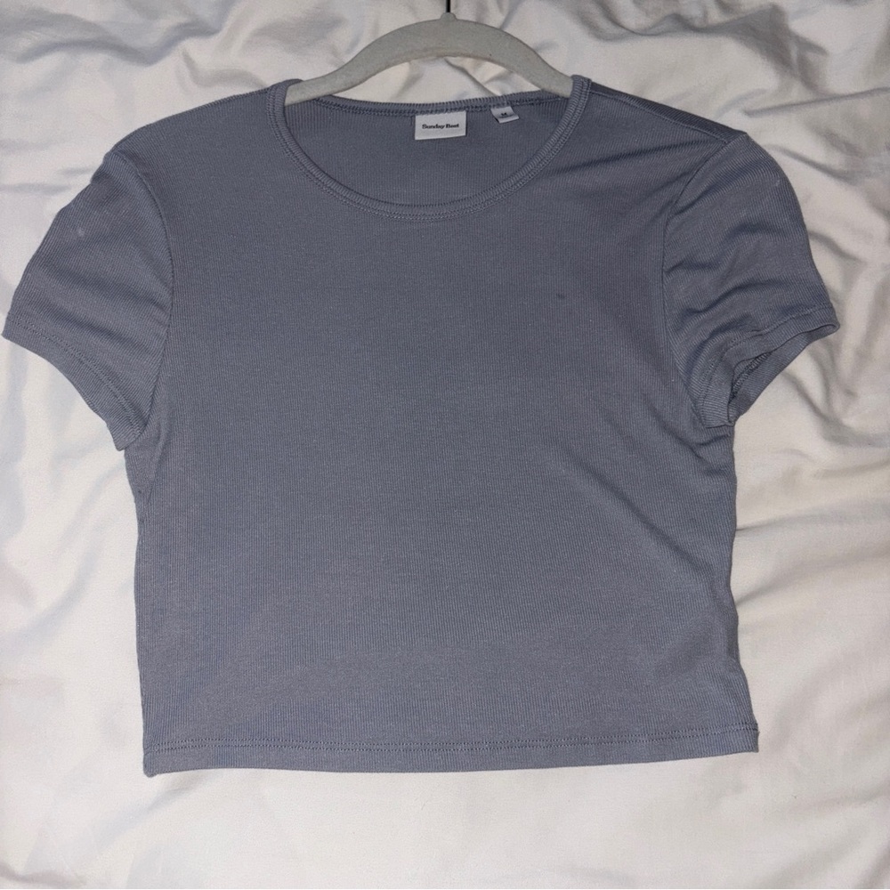 aritzia light blue/grey cropped sunday best tee
